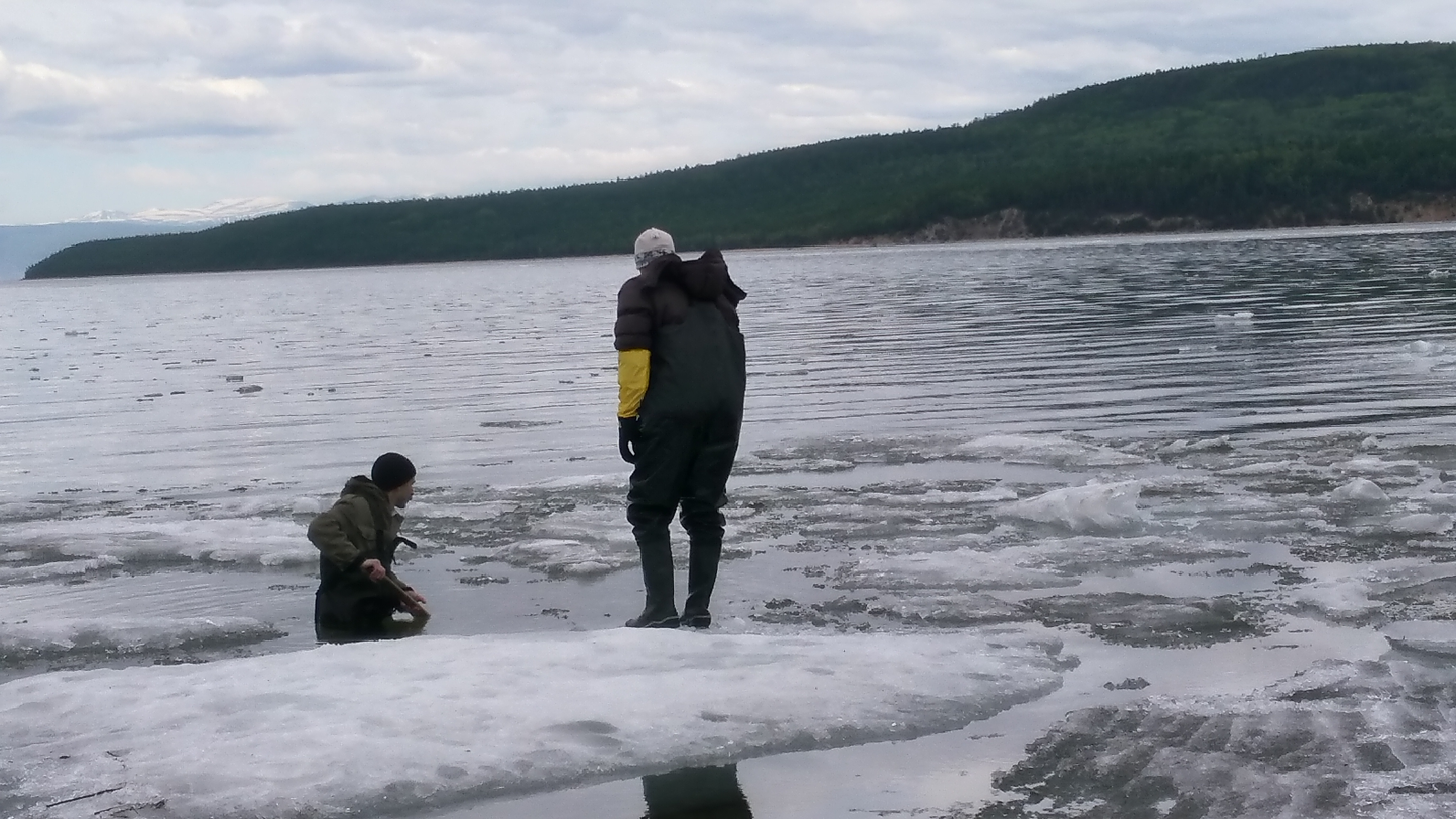 P_20170615_101645_HDR