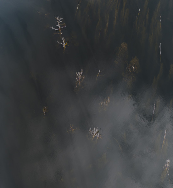 3_03_Богучанское_Таничев