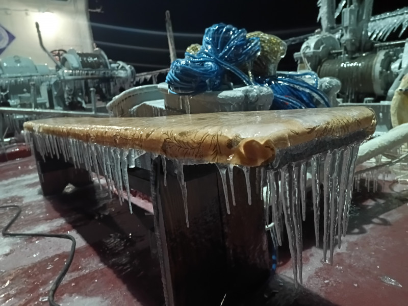 IMG_20251026_050144_335