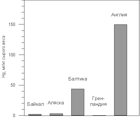Содержание ртути в печени тюленей (по данным Watanabe et al., 1996).